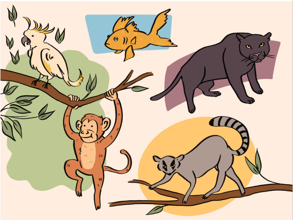 Children's Book multi animal illustration