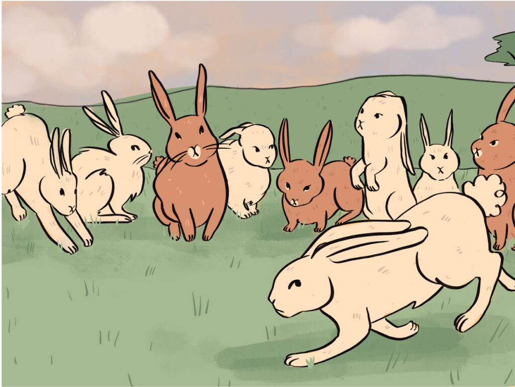 Book Illustration of Rabbits